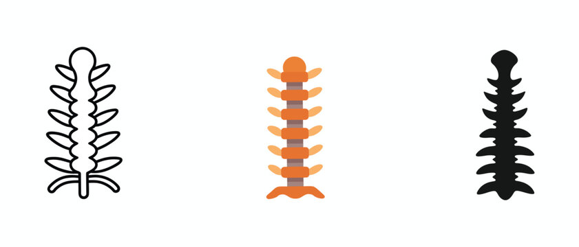 Human Spine Icon Set 