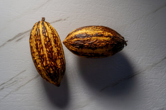 Mazorca de cacao entera sobre superficie de m&aacute;rmol blanco con iluminaci&oacute;n dram&aacute;tica