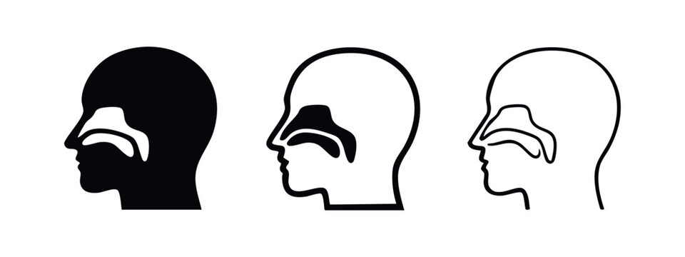 Human head profile with nasal cavity and sinus anatomy icons