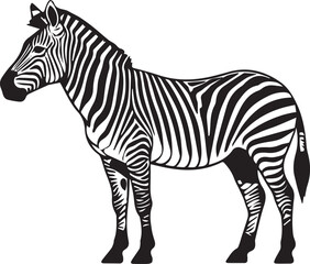 Fototapeta premium Black and white zebra line art icon isolated on white background