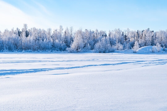 Winter landscape with snow covered trees and frozen lake in Yellowknife, Northwest Territories, Canada