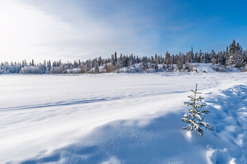 Winter landscape with frozen lake near Yellowknife, Northwest Territories, Canada © beataaldridge