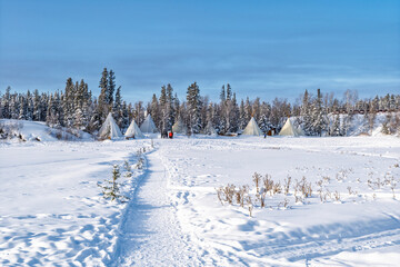 Winter landscape with snow covered teepees near Yellowknife, Northwest Territories, Canada © beataaldridge