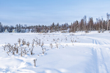Winter landscape with frozen lake near Yellowknife, Northwest Territories, Canada © beataaldridge