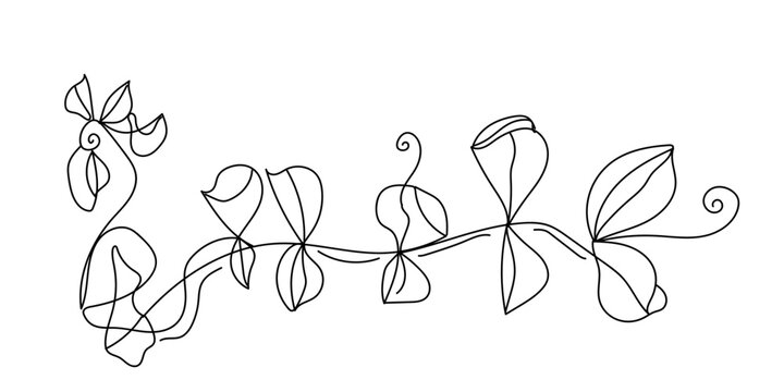 A continuous‑line botanical illustration created in a minimalist, abstract style. The artwork features a single unbroken black line forming a series of stylized leaves, organic shapes, and flowing cur