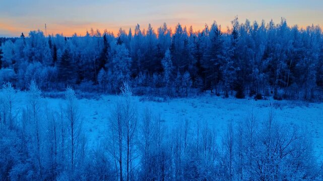 Flying over the stunning snow-covered forest at sunset. Beautiful nature in the wilderness of Lapland, Finland.