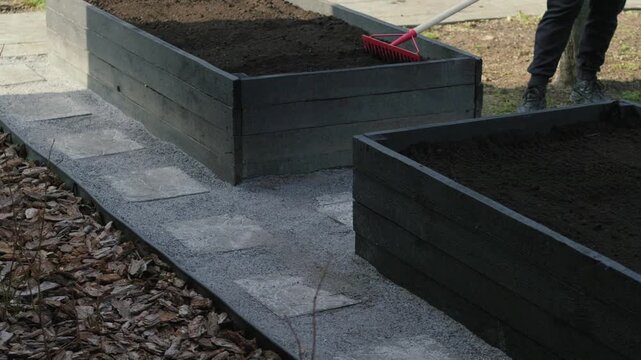 Gardener leveling soil in raised garden beds with a rake for planting