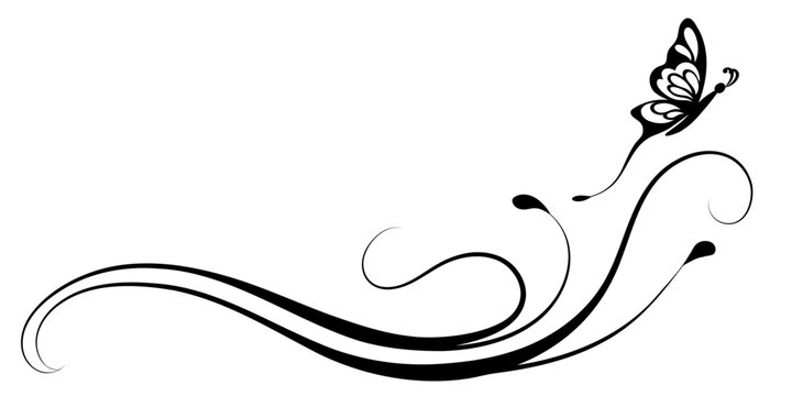 Spring floral ornament with leaves and abstract lines. Text divider. Decorative element for decor and text greeting or invitation card design.