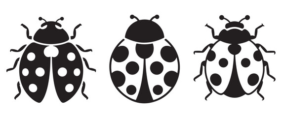 Fototapeta premium Three black ladybugs with white spots are displayed in a simple graphic arrangement a silhouette