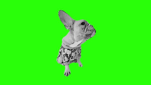 Trendy Dog Breeds Halftone Collage Sticker Set &ndash; Funky Cutout Black and White Pets for Contemporary Vector Banner Design