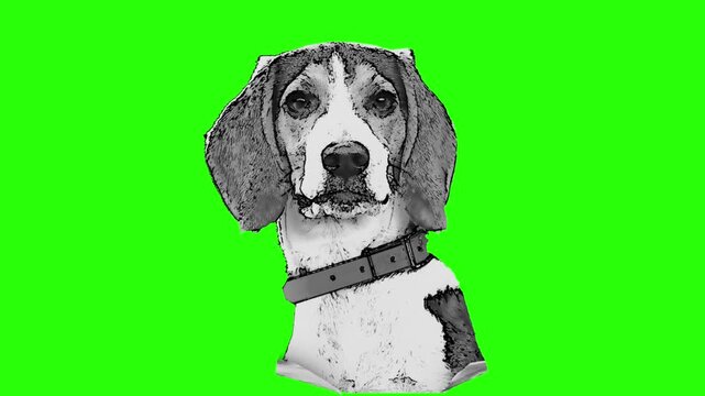 Trendy Dog Breeds Halftone Collage Sticker Set &ndash; Funky Cutout Black and White Pets for Contemporary Vector Banner Design