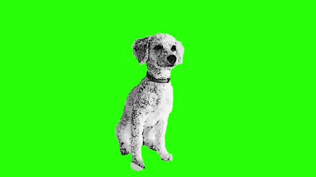 Trendy Dog Breeds Halftone Collage Sticker Set &ndash; Funky Cutout Black and White Pets for Contemporary Vector Banner Design