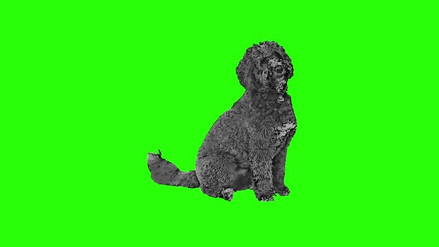 Trendy Dog Breeds Halftone Collage Sticker Set &ndash; Funky Cutout Black and White Pets for Contemporary Vector Banner Design