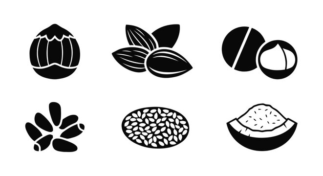 Vector illustration&nbsp;of set of nuts and seeds icons, hazelnut, almond, macadamia, pine nut, sesame