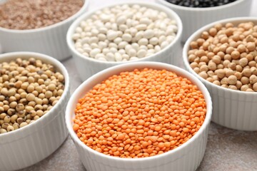 Obraz premium Different vegetarian food products rich in protein on grey table, closeup