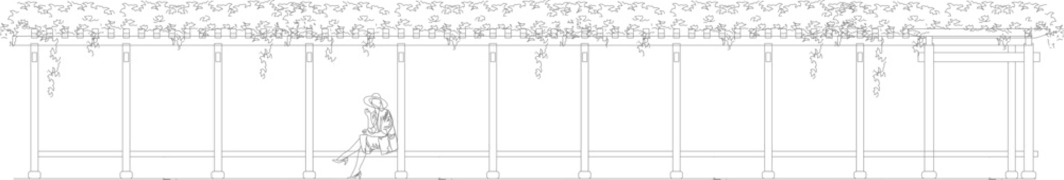 Technical landscape elevation drawing showing long pergola walkway with vertical columns, overhead beams, climbing vegetation and seated person for scale.