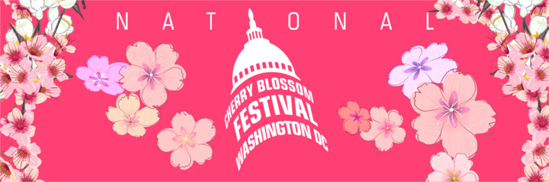 Banner rosa festival cerezos Capitolio Washington primavera turismo cultural