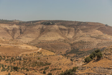 Fototapeta premium Rural landscape of northern Jordan