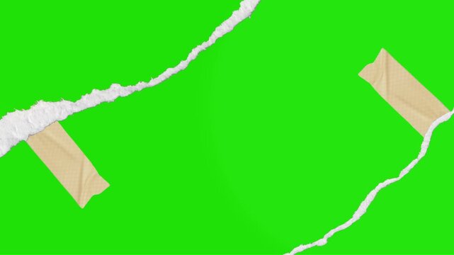 Professional Paper Page Tear Transition on Green Screen &ndash; Realistic Ripped Edge Animation with Chroma Key &ndash; 4K Video