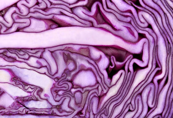 Obraz premium Red cabbage background