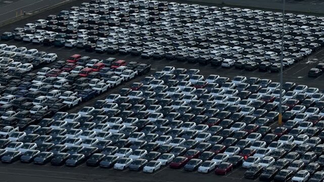 Electric cars import waiting for collection.