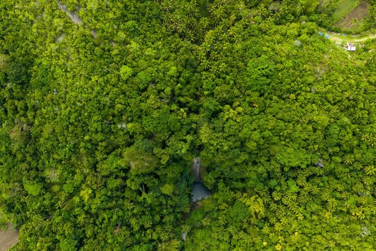 Aerial view of Cangbangag Falls, the tallest waterfall in Siquijor. Majestic water cascade surrounded by lush tropical rainforest canopy, Philippines.
