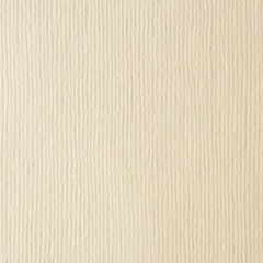 Fototapeta premium Beige Vertical Line Texture Background, Minimal Decorative Surface