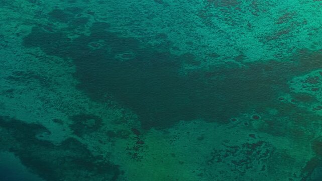 Aerial Drone Footage of Vibrant Coral Reefs in the Pacific Ocean with Clear Blue Water - Tonga