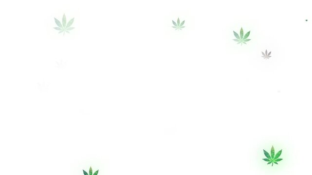 Looping cannabis leaf icons floating on white background with copy space. Ideal for cannabis industry, market trends, public health topics, and informative infographics.
