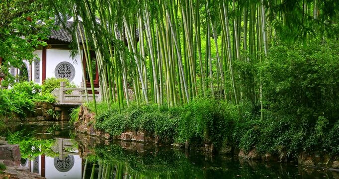 The reflection of a traditional Chinese garden pavilion in the water, nestled among lush bamboo.