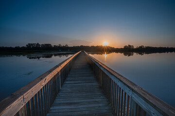 Fototapeta premium Wooden Boardwalk Leading Into Wetland at Sunrise