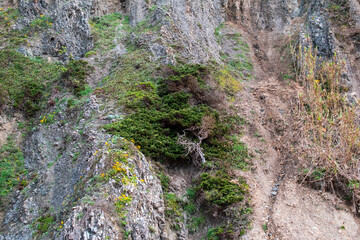 Dramatic Rocky Cliff with Vegetation and Geological Formations