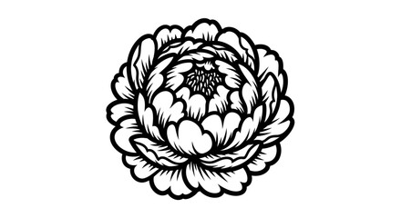 Stylized black and white peony flower illustration on white background © Bebek