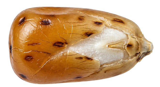 Single roasted corn kernel snack macro isolated on white background