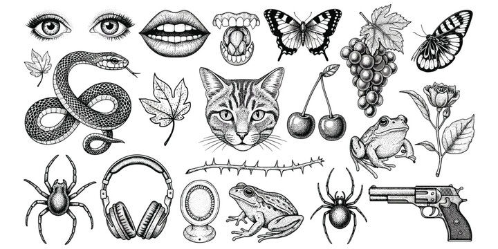 Eclectic black and white illustration collage, surreal mix of anatomy animals plants objects, stippled engraved artwork design, flat vector illustration