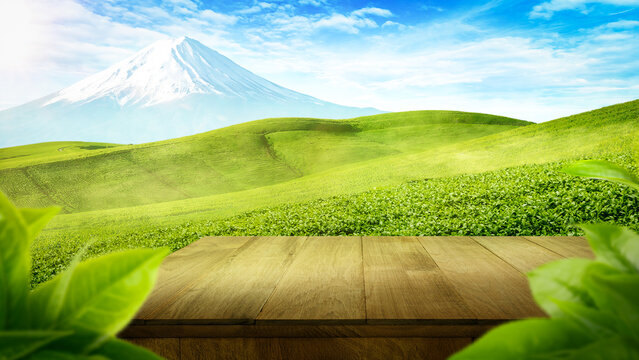 "A refreshing view of Jush green hills beneath a majestic mountain, capturing the purity and calm of nature."