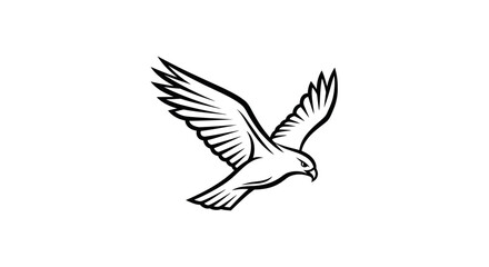 Obraz premium Elegant Hawk Bird Silhouette Flying Isolated White Background Vector