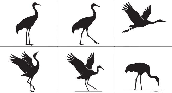 Set of Crane Bird Silhouettes in Various Poses, Including Flying, Standing, and Feeding; Minimalist Vector Illustration of Herons or Storks
