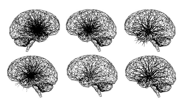 Futuristic Wireframe Brain Models AI Neural Network Scientific Vector Illustration Set