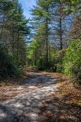 Fototapeta premium Panthertown Valley, Sapphire, NC