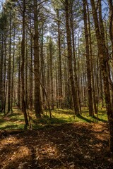 Fototapeta premium Panthertown Valley, Sapphire, NC