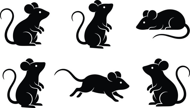 Black mouse silhouette vector set featuring rodents in various poses like sitting standing running and jumping for animal graphic design