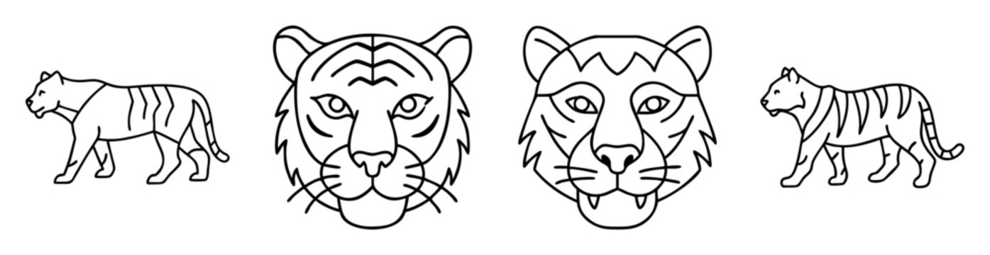Linear illustration of stylized tigers in side view and full face forward