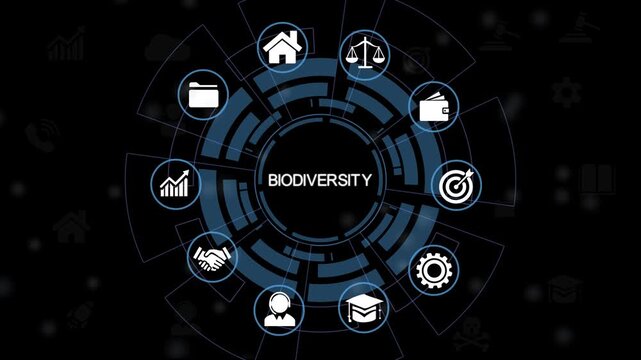 Biodiversity ecosystem vector infographics. Consists of desert, grassland, tundra, freshwater, rainforest, coral reef zones for layout, 4k motion video..