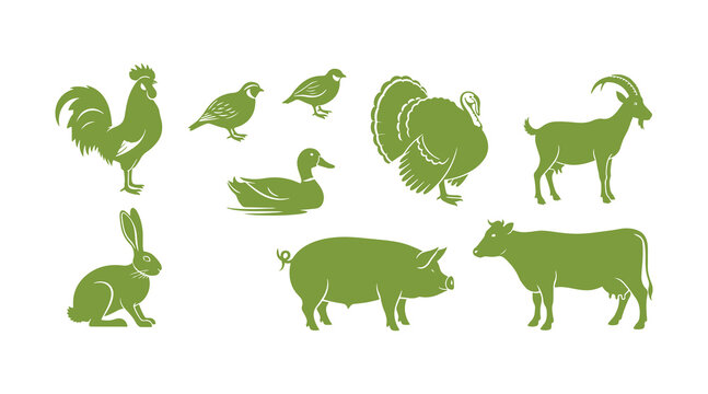 Check out this colorful farm animal icon collection showcasing a rooster, quail, turkey, goat, duck, hare, pig, and cow, all set on a beige background.
