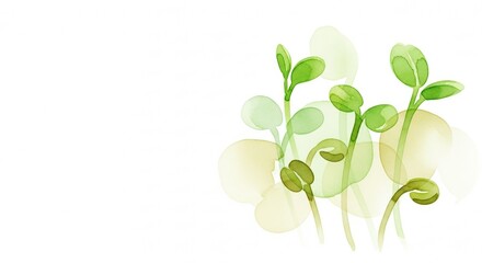 Obraz premium Fresh and Juicy Broccoli Sprouts in Soft Watercolor Illustration, Natural Vegetable with Gentle Touch