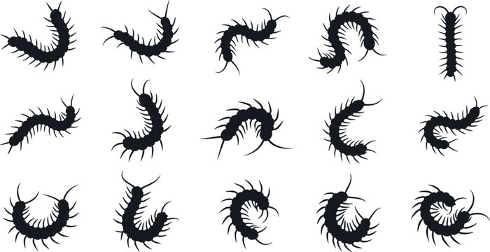 Centipede and Millipede Silhouette Vector Set with Multiple Insect Poses for Biology, Pest Control, and Nature Illustration Use