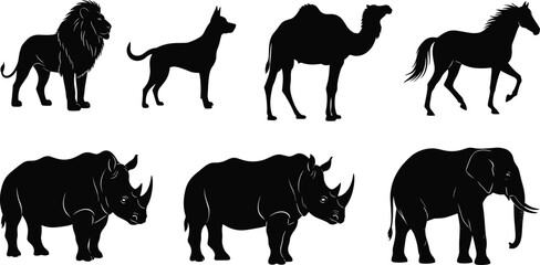 Wild animal silhouette vector set, african safari zoo creatures collection isolated on white, lion elephant rhino camel horse black shapes © Mdjoshel 