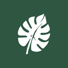Elegant White Monstera Leaf Silhouette On A Deep Green Background © Syahputra