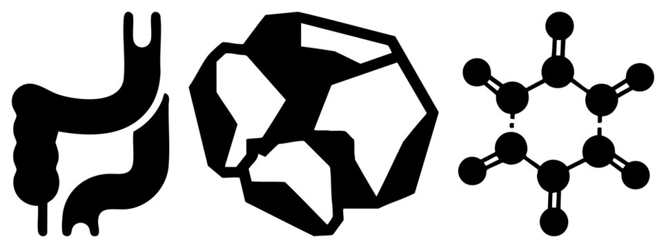 Simplified black silhouette of intestines and stomach, geometric form, ring molecular structure, vector for biology and chemistry.